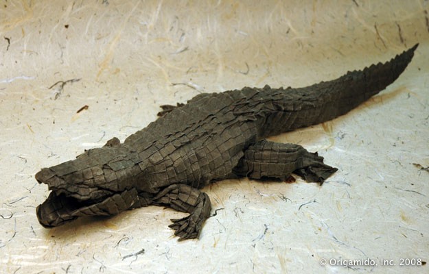 AmericanAlligator