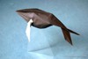 HumpbackWhale