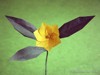 ModularFlower