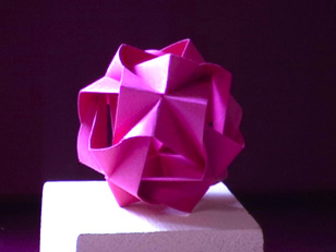 Twist Units 12-elements