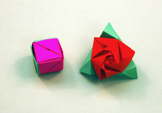 Magic Rose Cube