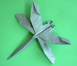 Dragonfly for Toshi
