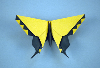 Alexander Aztec Swallowtail