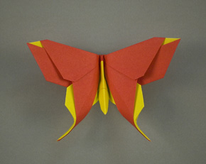 Alexander Swallowtail
