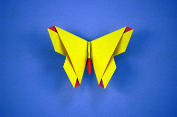 A Butterfly for Alice Gray