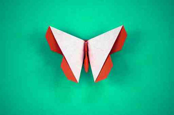 Emiko Fritillary