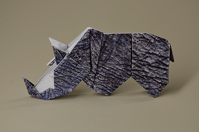 Rhinoceros