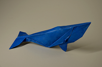 Right Whale