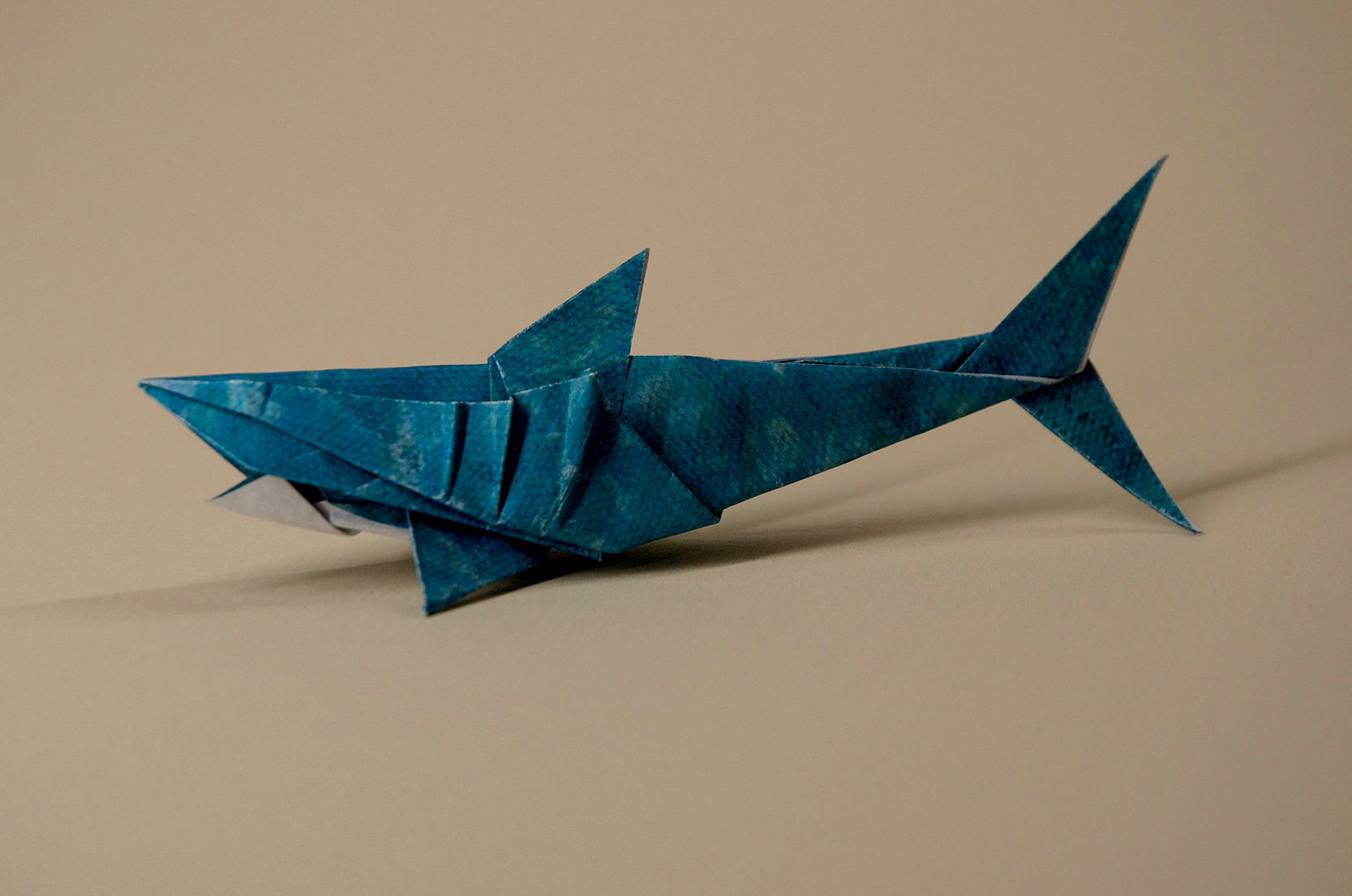 Shark