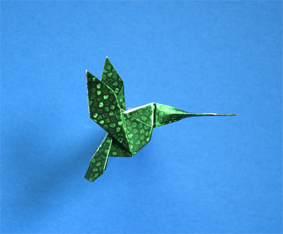 Elegant-Simple Hummingbird