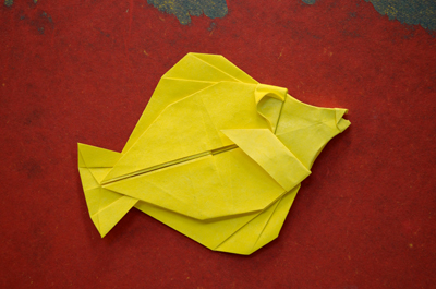Yellow Tang for Mariko