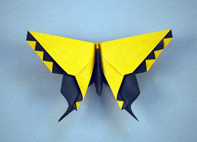 Alexander Aztec Swallowtail Butterfly