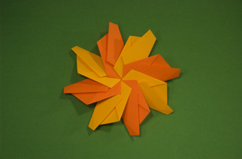 Aster