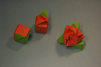 Magic Rose Cube