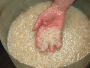 Pulp ready for forming