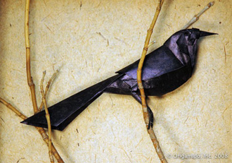 Grackle