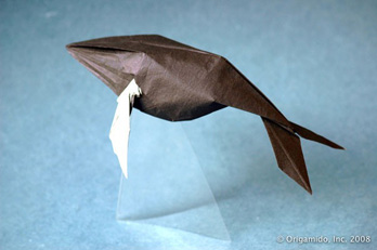 Humpback Whale