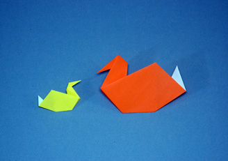 Inside Ducks