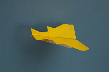 Canard Cruiser