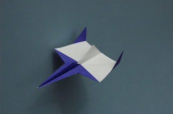 Flying Fox