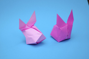 Bunny Rabbit