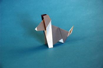 Kanji the Dog