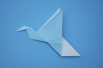 Randlett's Flapping Bird