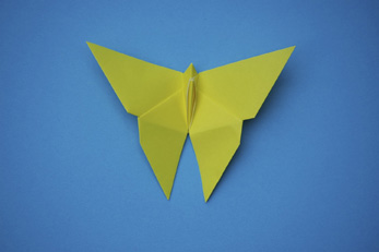 Yoshizawa Swallowtail Butterfly