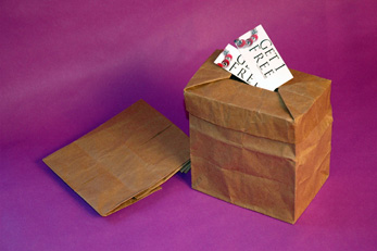 Bag Ballot Boxes