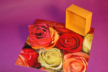Masu Boxes
