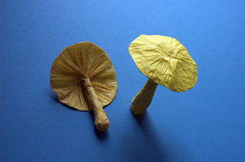 Crumpled Mushrooms