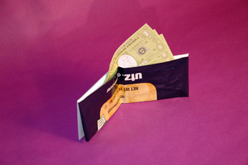 Snack Bag Wallets